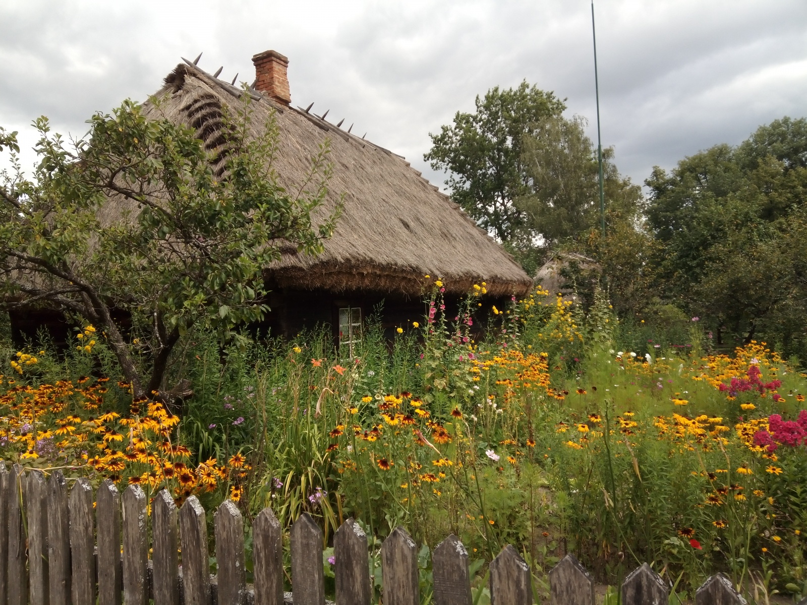2020.07.30-08.03_Podlasie_Brańsk-12